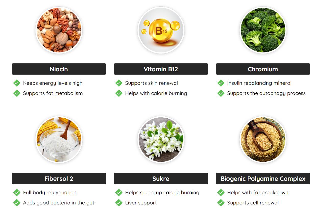 Fast Lean Pro Supplement Facts